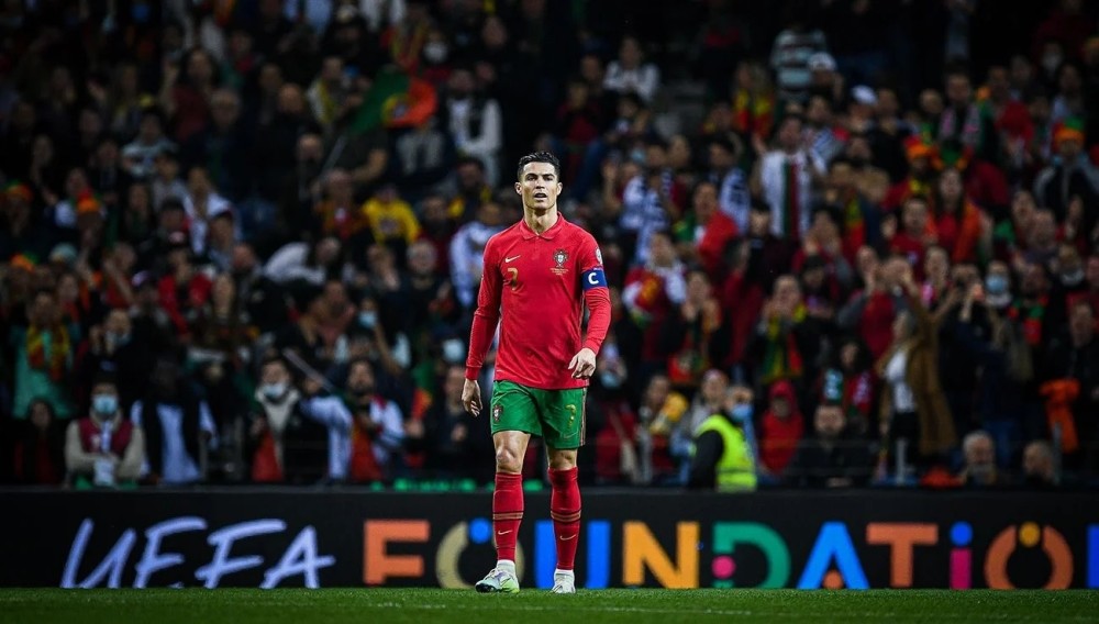 每日经济报 每日经济报