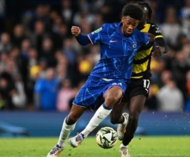 智在这时显 智在这时显