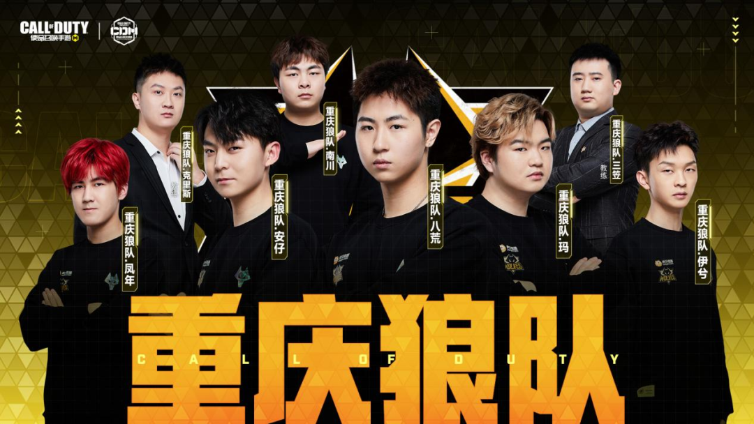 该领域上新 该领域上新