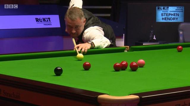 鹈鹕回到自 鹈鹕回到自